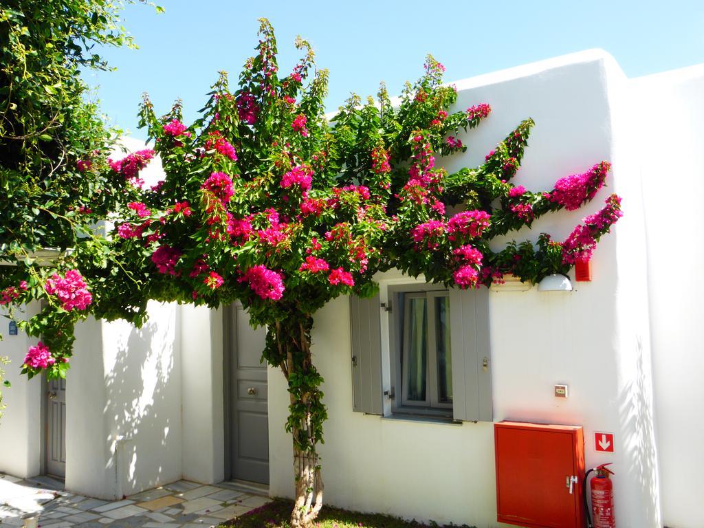 Paros Bay Hotel Parasporos Exterior photo